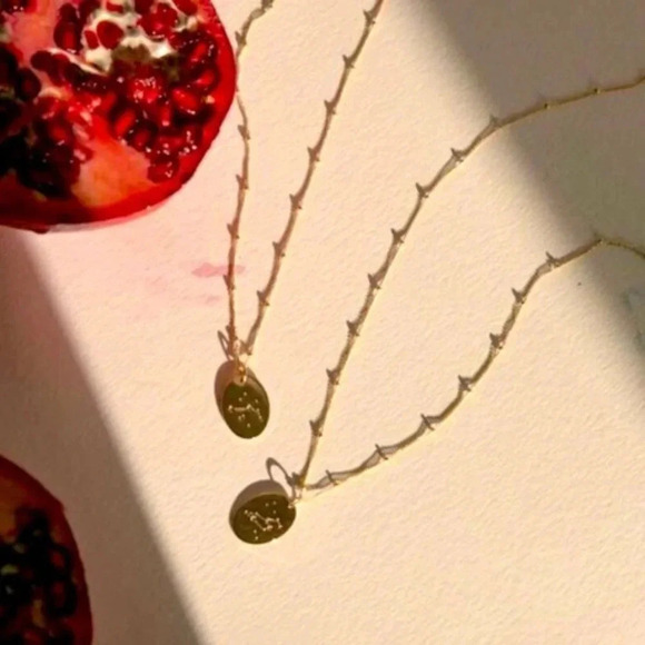 Aries Minimalist Zodiac Charm Oval Disc Necklace - Picture 6 of 8